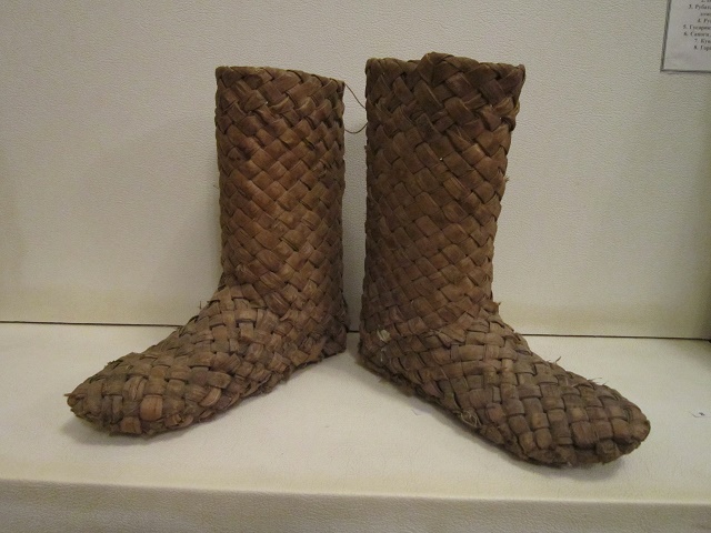 IMG 3596