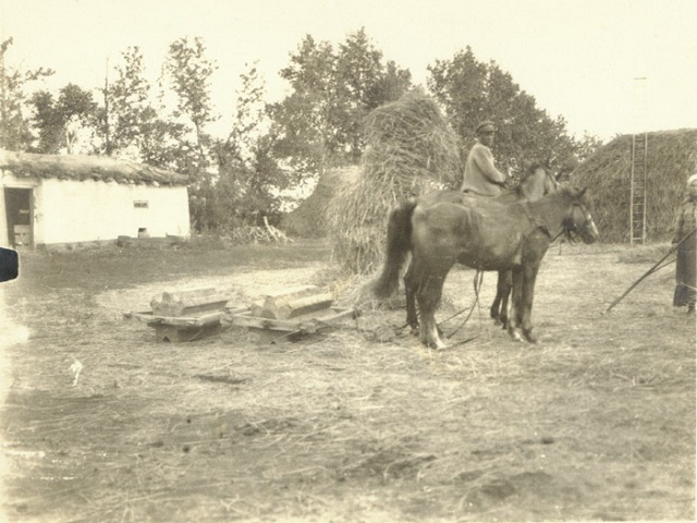 Double Threshing stone