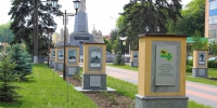 image307452933