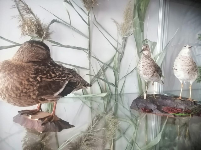 IMG 20200908 WA0013