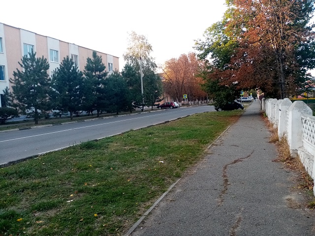 IMG 20201027 154928