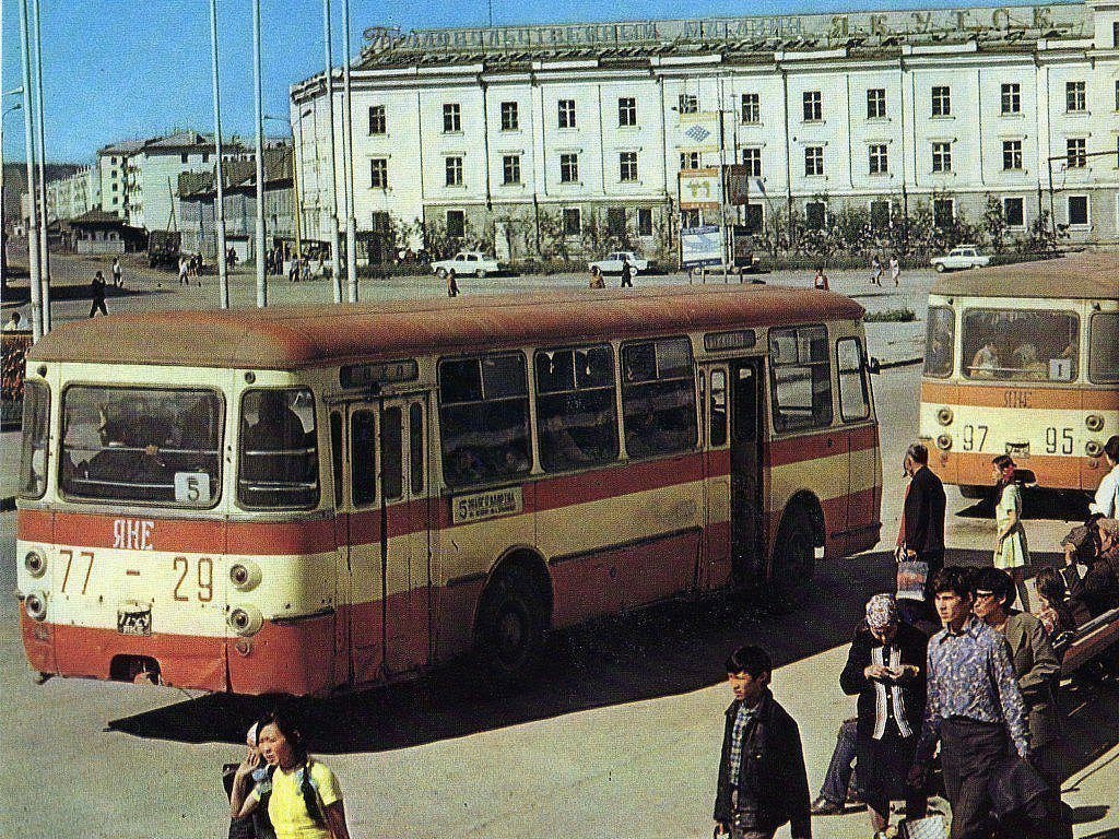 bus