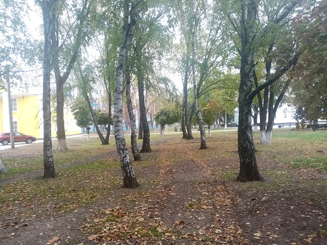 IMG 20201106 085142
