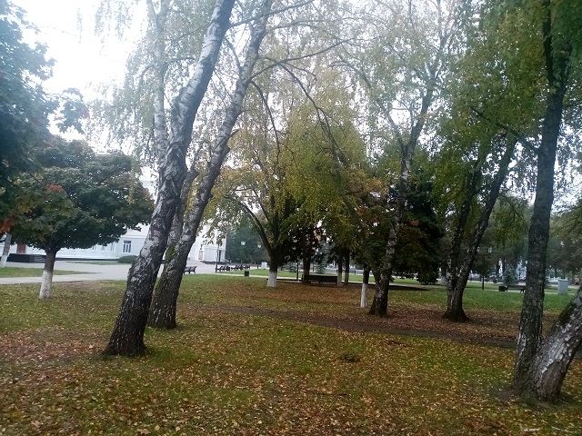 IMG 20201106 085328