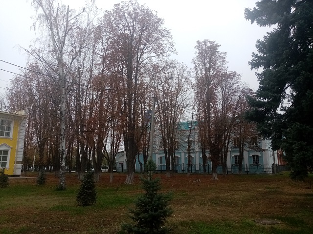 IMG 20201106 085443