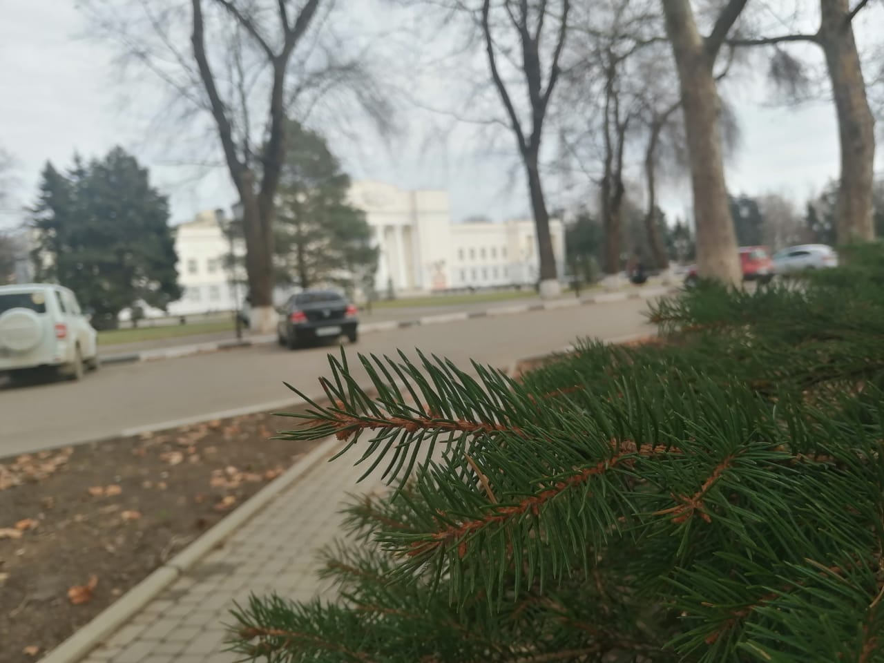 IMG 20210203 WA0083