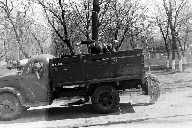51