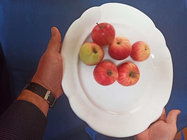 IMG 20211005 093525