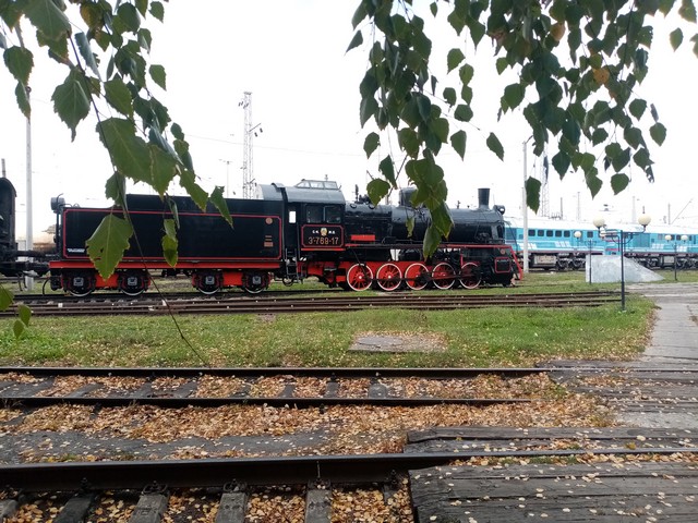 IMG 20211013 113946